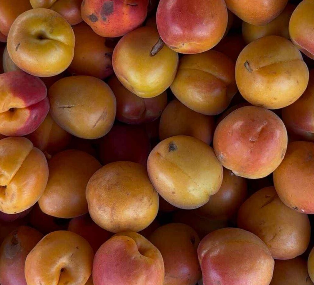 marché de Sully sur Loire (2). Crédit photo : JB